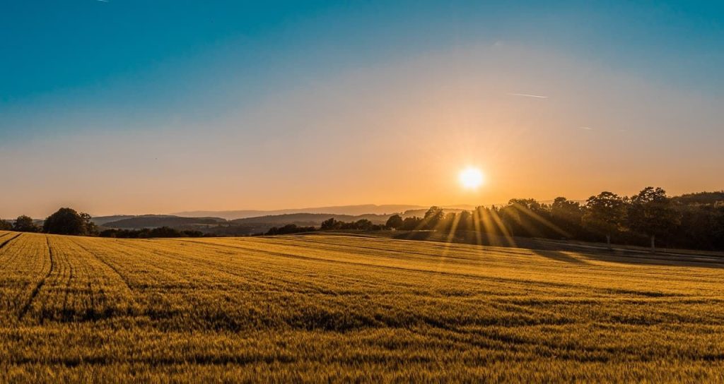 BrasilAgro AGRO3 vende área de fazenda na Bahia por R 364 5 milhões