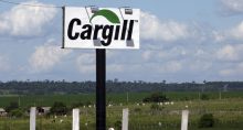 cargill