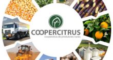 coopercitrus