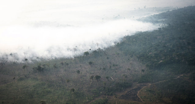 Amazônia