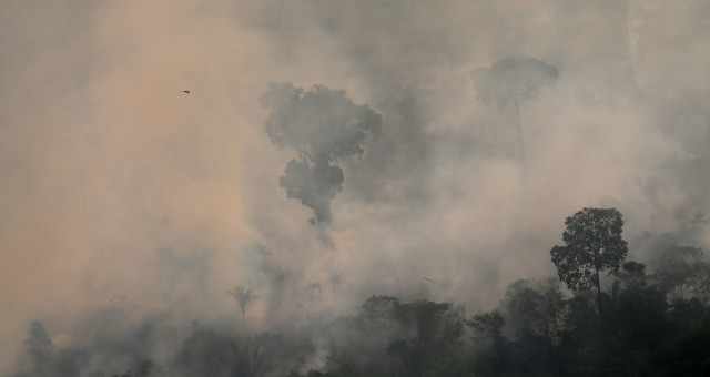 Amazônia Meio Ambiente