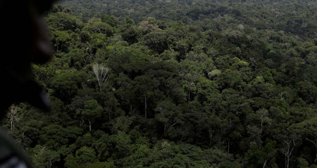 Floresta Amazônia Meio Ambiente