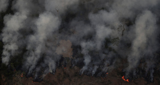 Meio Ambiente Queimadas