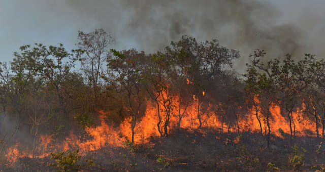 Queimadas Amazônia