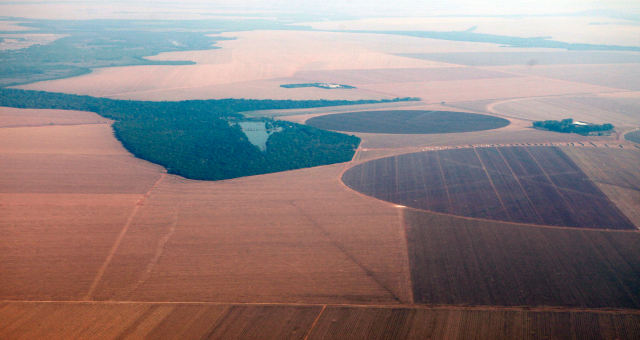 Agricultura Agronegócio