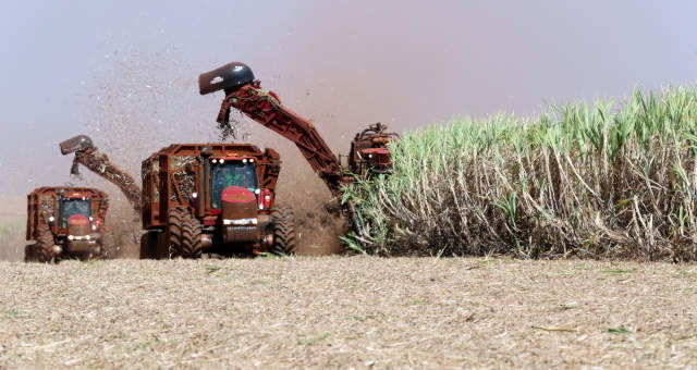 Agricultura Máquinas Veículos Cana-de-Açúcar