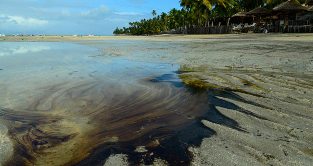 Mancha Polução Praias Nordeste