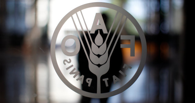 FAO ONU Setor Alimentício