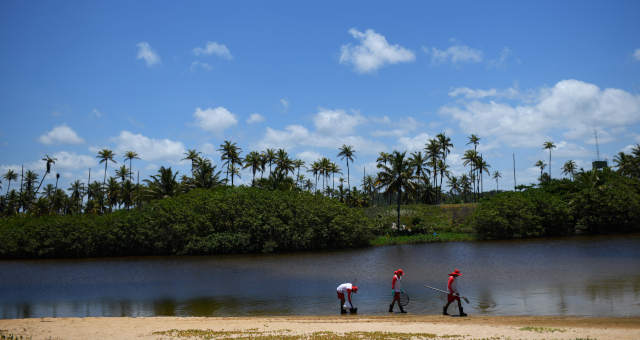 Nordeste Petroleo