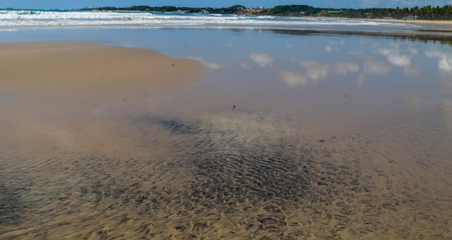 Nordeste Petróleo Brasil Poluição Litoral