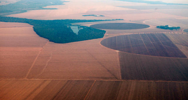 Vista aérea de plantação de soja no Mato Grosso