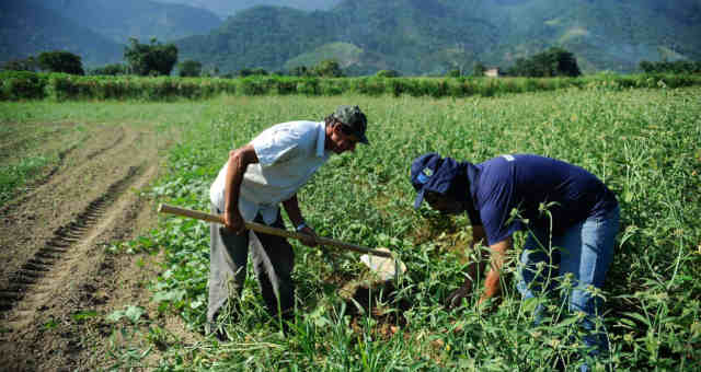 Agricultura