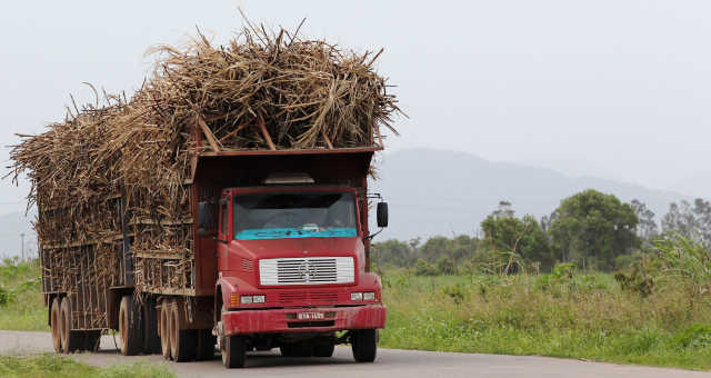 Agronegócio Agricultura 