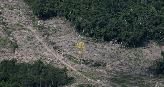 Amazônia