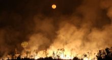 Incêndio na floresta amazônica, no Estado do Amazonas Amazonia queimadas