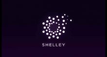 shelley cardano