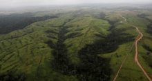 Vista aérea de área desmatada da Amazônia em Altamira