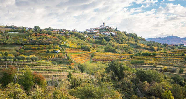 Vinhos Bebidas Europa Eslovênia Turismo