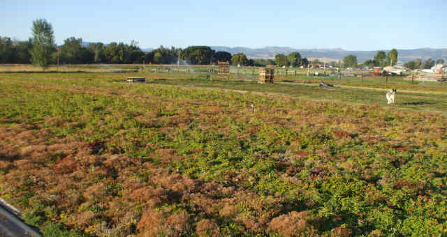 Fazenda-EUA