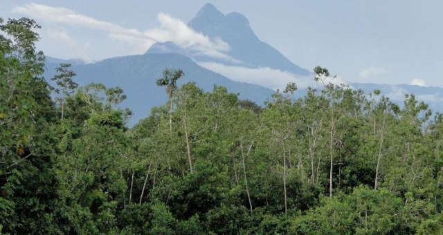 Pico da Neblina