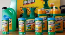 Roundup Bayer