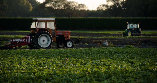 Agricultura Agronegócio