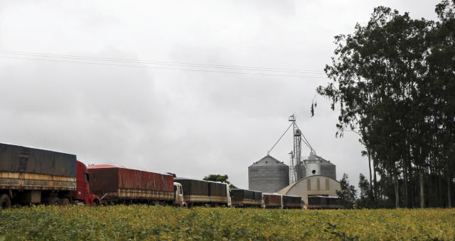 Caminhoneiros, soja, Agronegócio