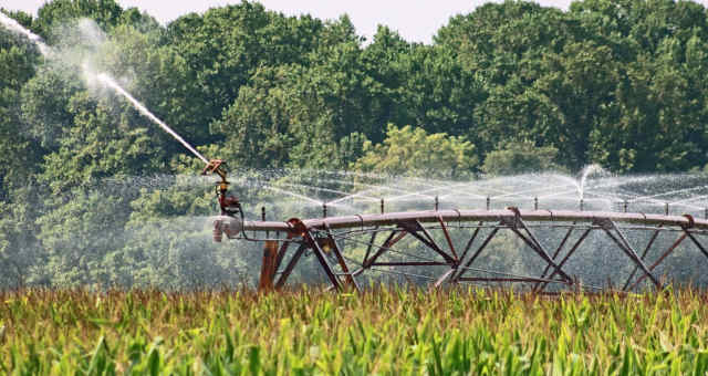 Irrigação Lavoura