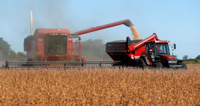 Grãos Agronegócio Máquinas