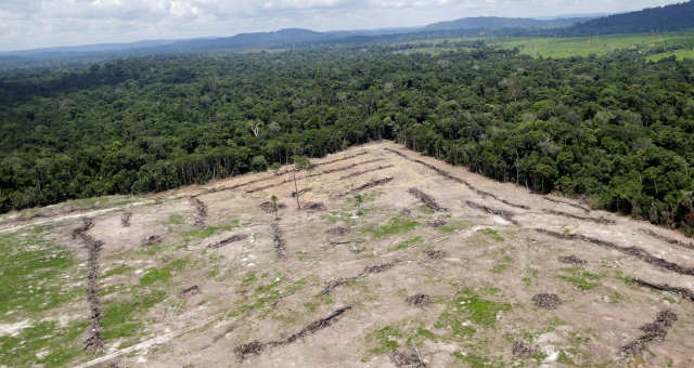 Amazônia