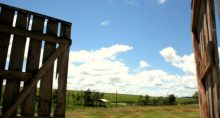 fazenda agronegócio agricultura