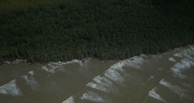 Meio Ambiente Amazônia