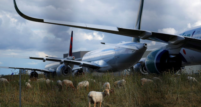 Setor Aéreo Aviação Aviões Aeroportos