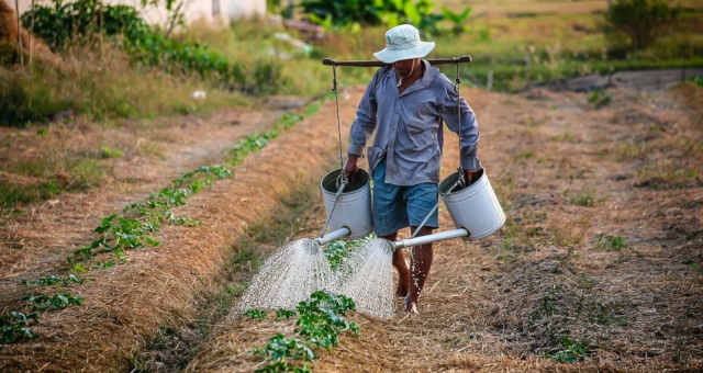 Agricultura