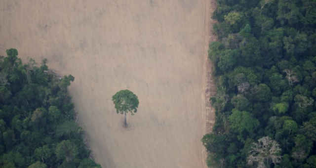 Amazônia 