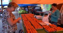 Feira Alimentos frutas