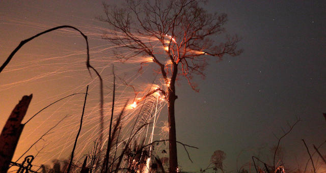 Meio Ambiente Amazônia Desmatamento