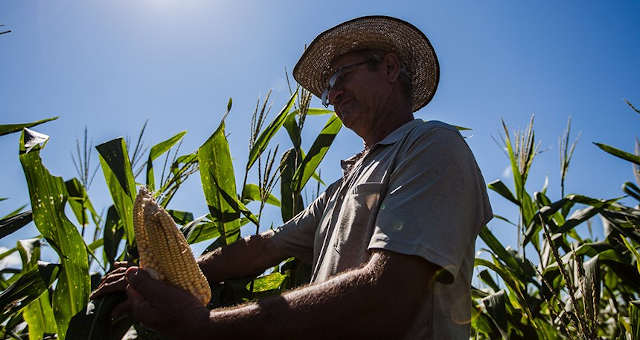 Agricultura