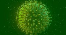 Coronavirus Brasil