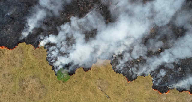 Queimada desmatamento amazônia meio ambiente sustentabilidade