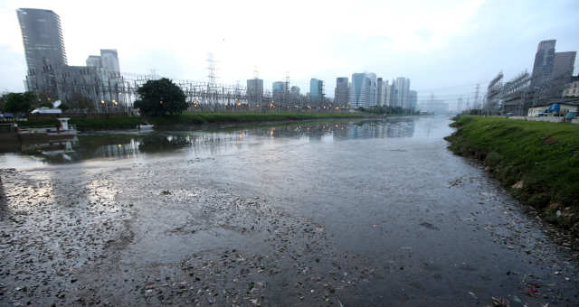 Rio Pinheiros-São Paulo