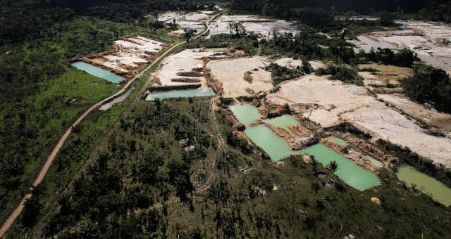 Floresta amazonica