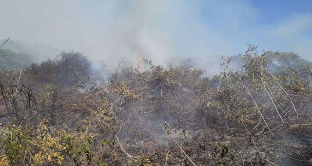 Pantanal Incêndios