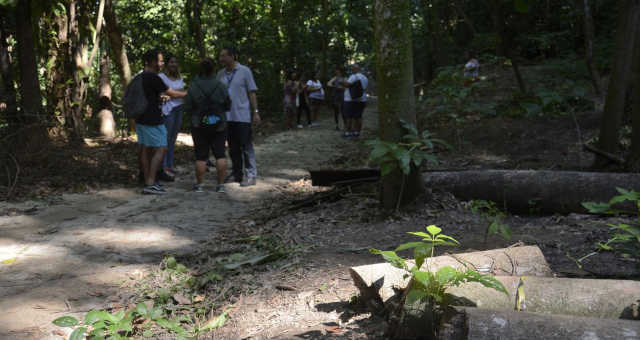 Parque Nacional da Tijuca