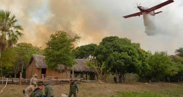 Queimadas Pantanal