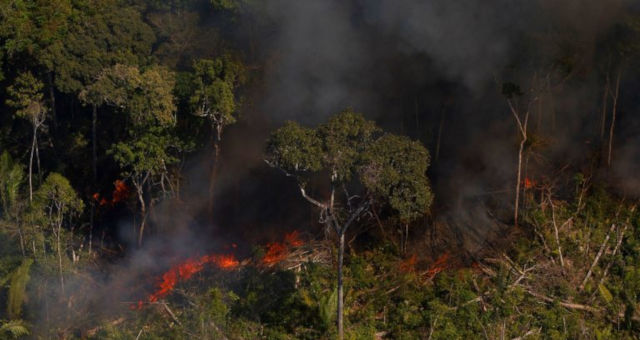 Queimadas Amazônia