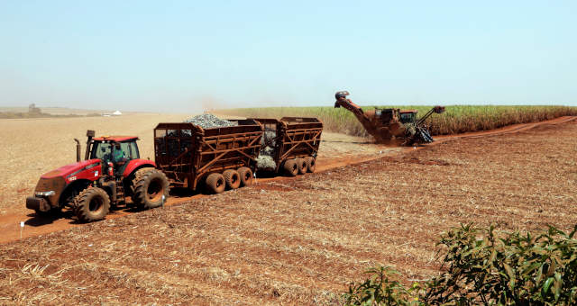 Agronegócio Agricultura Cana-de-Açúcar Etanol