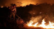 Incêndios, Pantanal