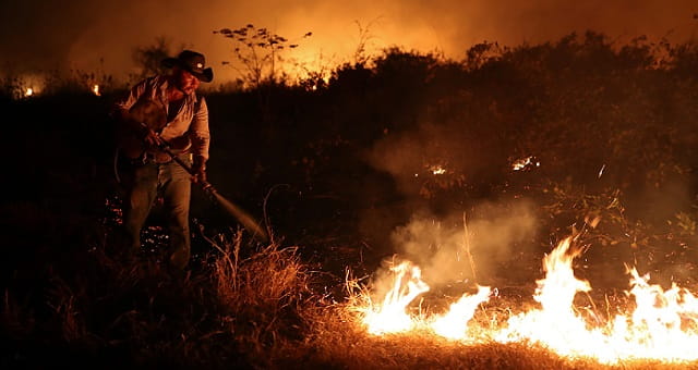 Incêndios, Pantanal