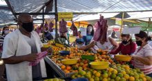 Feira Alimentos